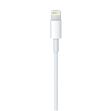 Apple Lightning to USB Cable (2 m) - DNA
