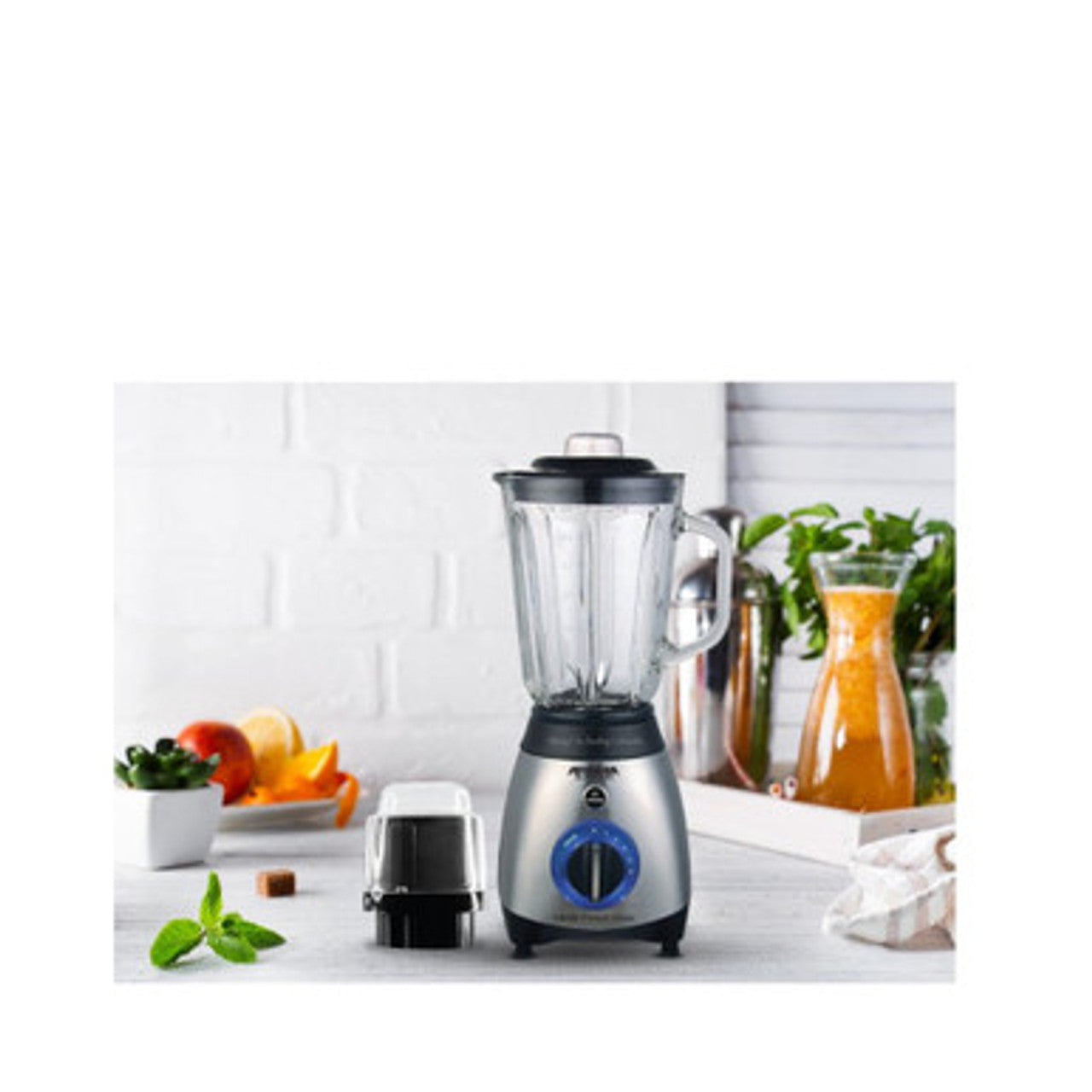 Arshia 2 in 1 Blender with coffee grinder Silver