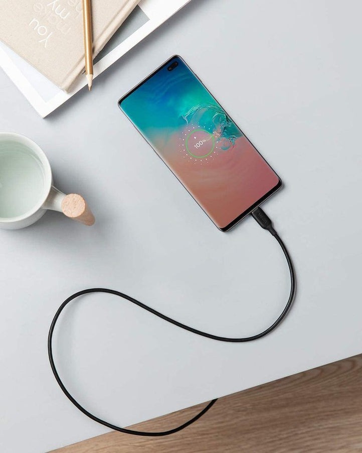 Anker USB to Lightning Fast Charging Cable - Black