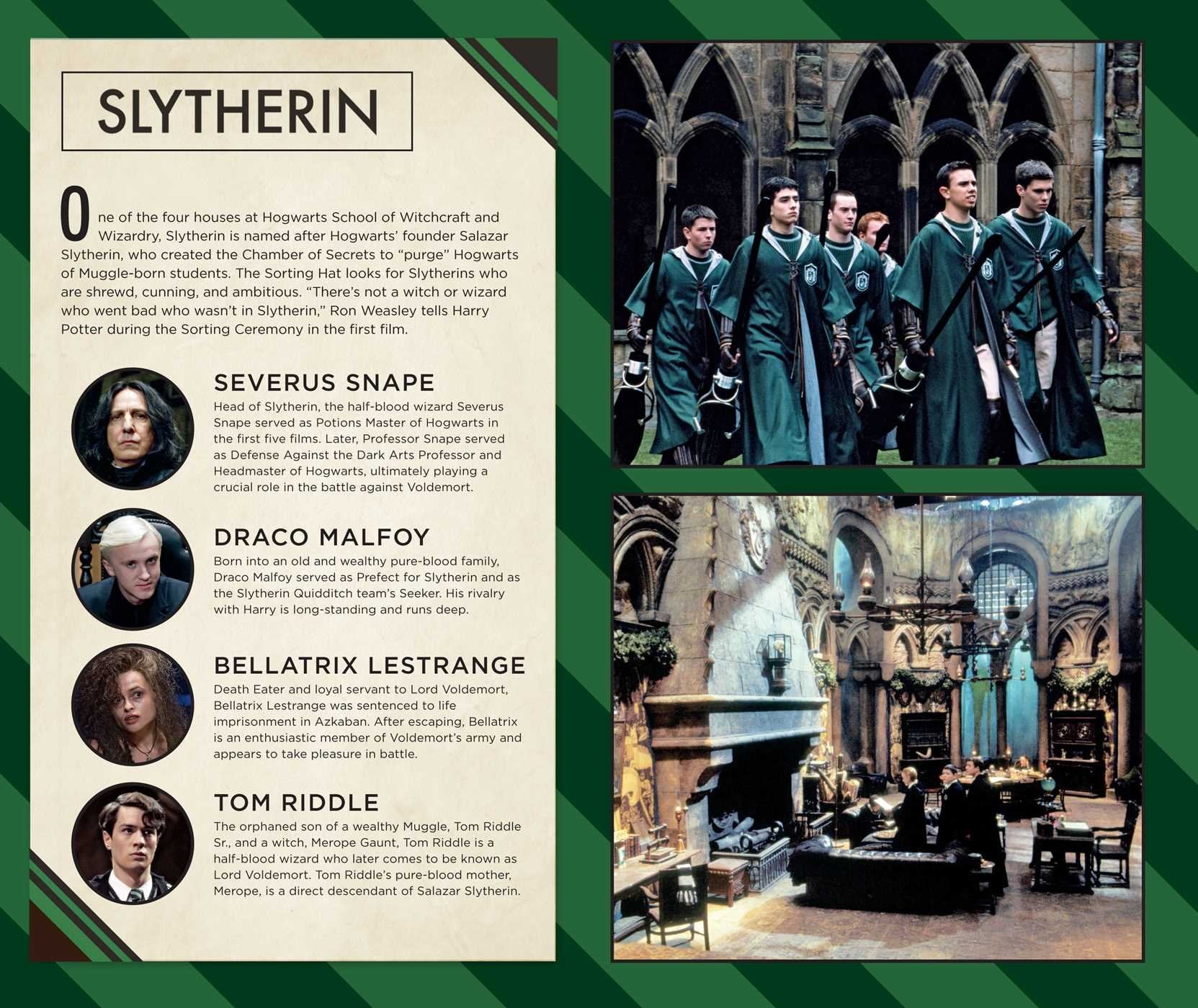 Harry Potter: Slytherin H