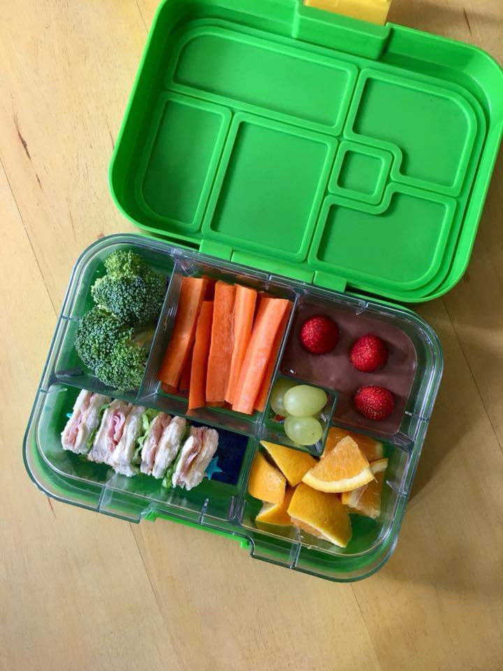 Munchbox Lunchbox Maxi6  Green Jungle