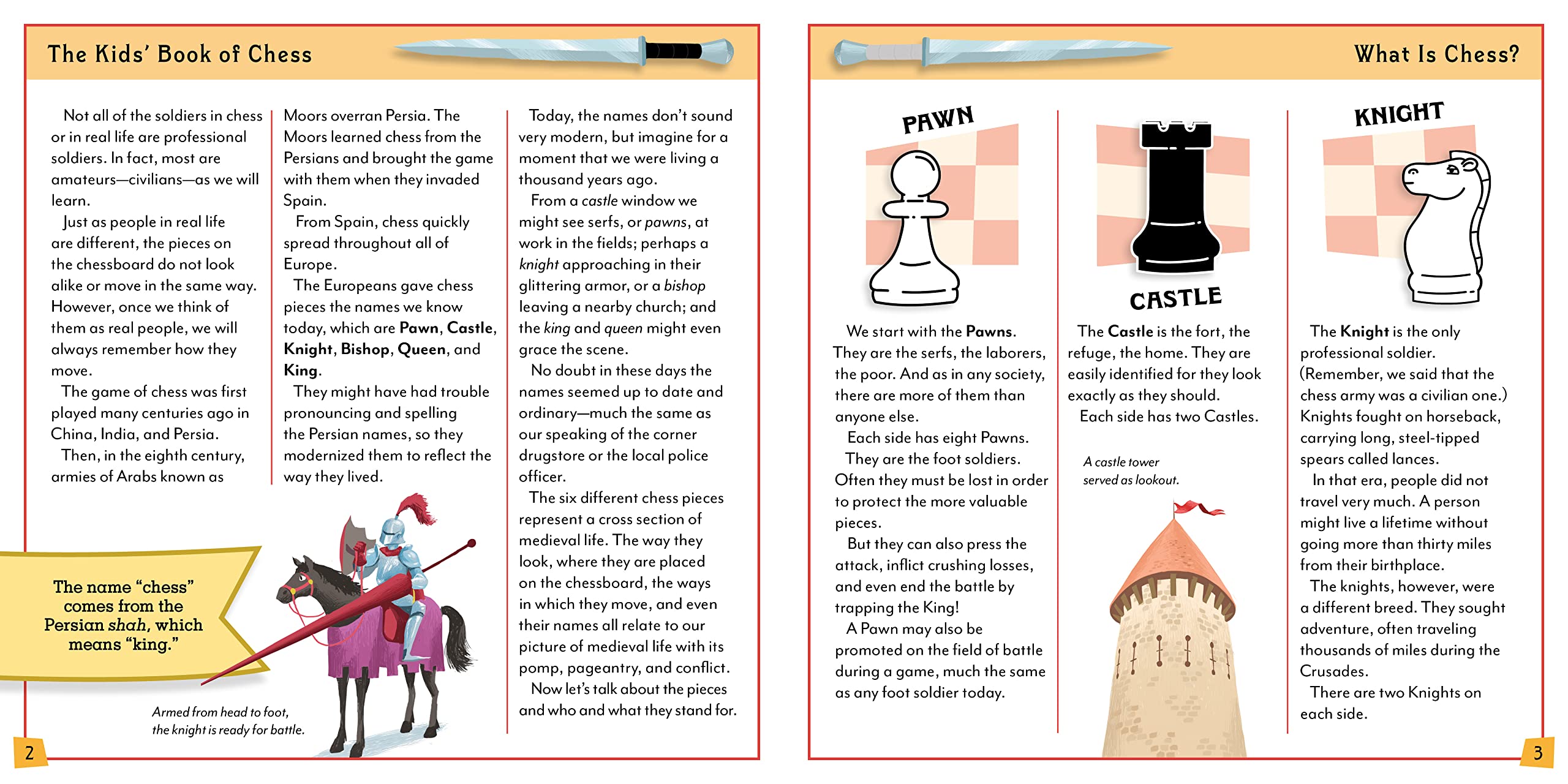 The Kids’ Book Of Chess And Starter Kit