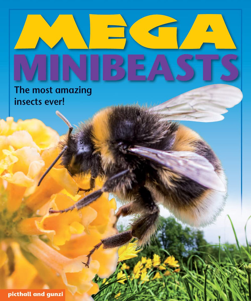Mega Books: Minibeasts