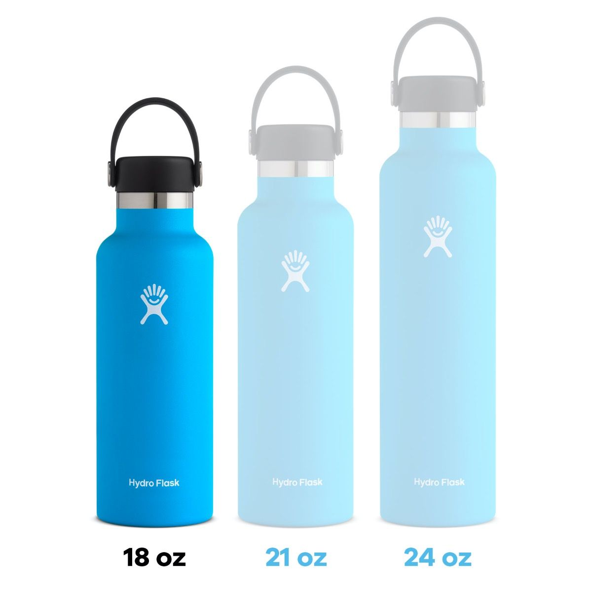 Hydroflask: 18 Oz Standard Flex Cap - Snapper