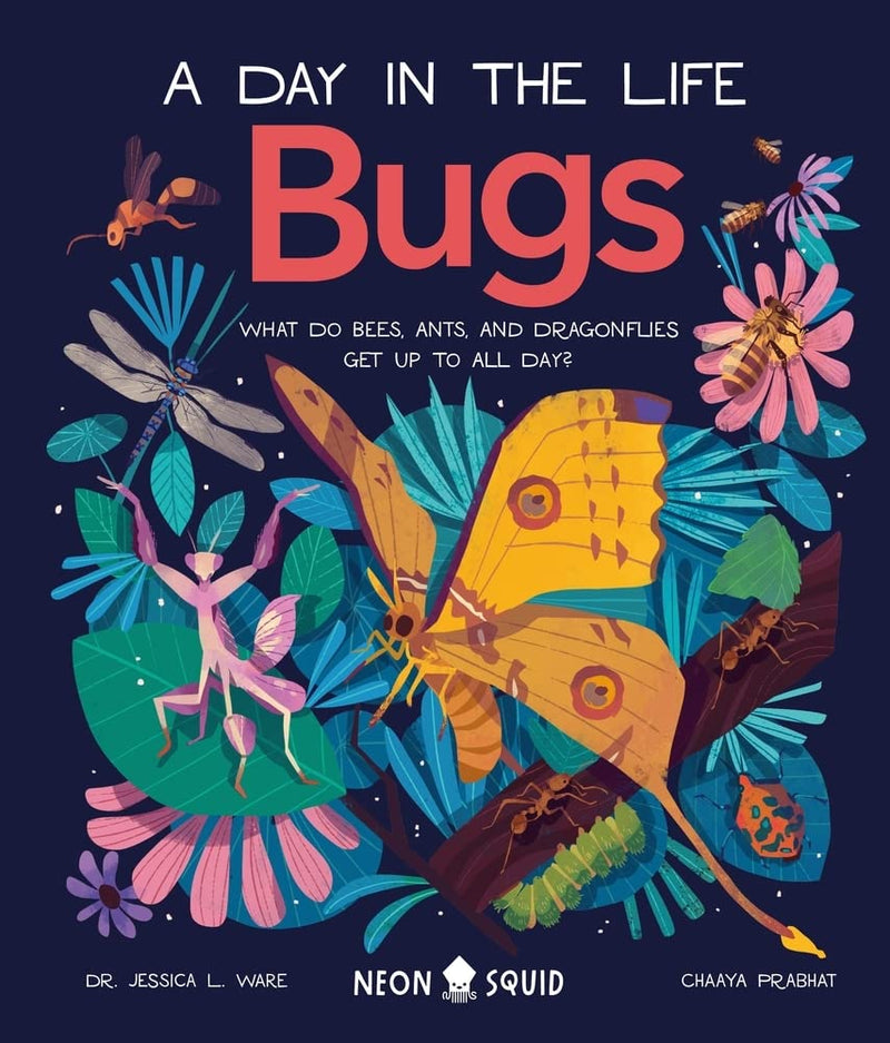 Bugs (A Day in the Life): What Do Bees, Ants and Dragonflies Get up to All Day?