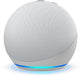 Amazon Echo Dot (4th Gen.) Smart Speaker - DNA