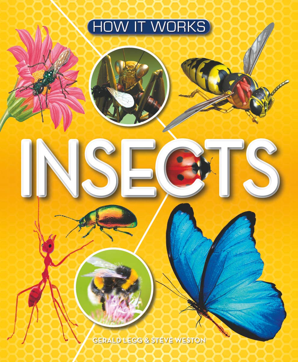 How It Works: Insects