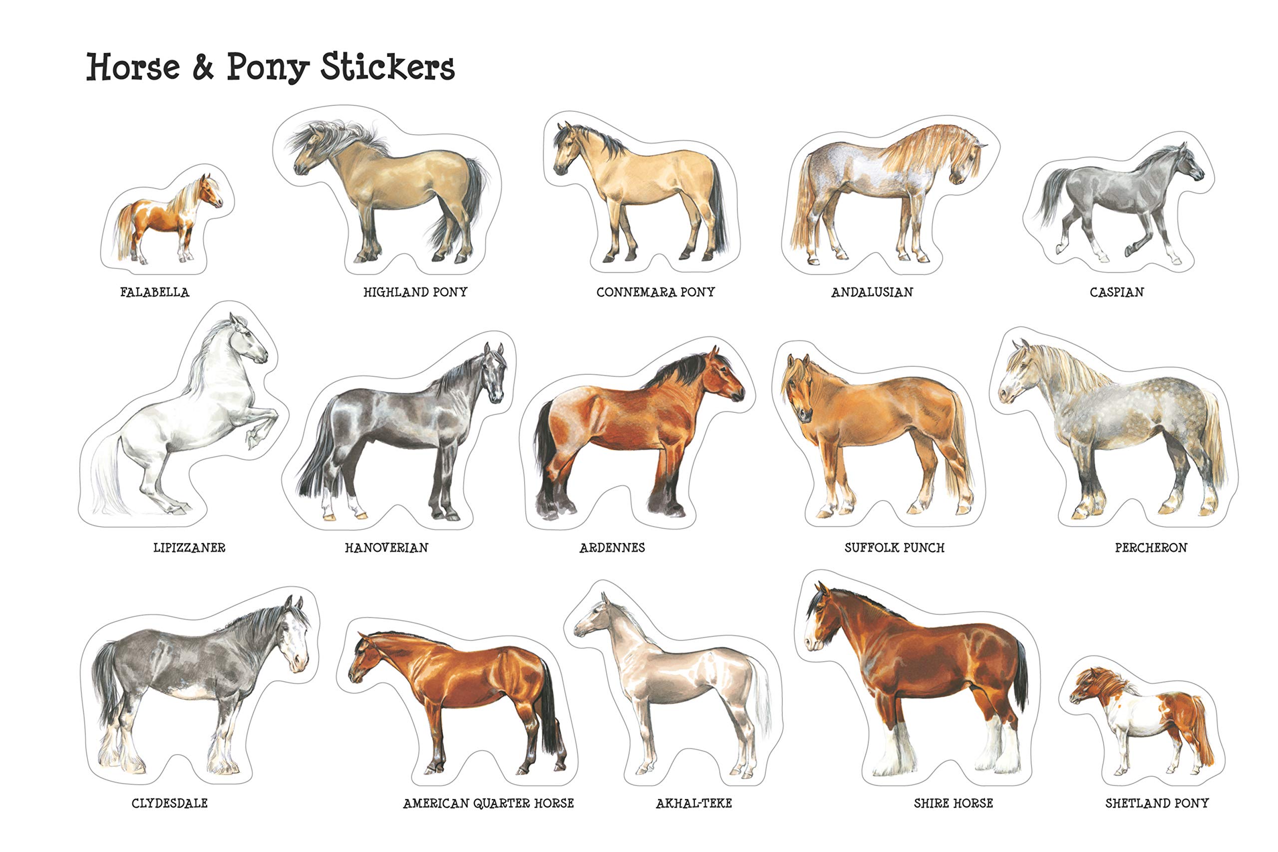 Horse and Pony Colouring Book