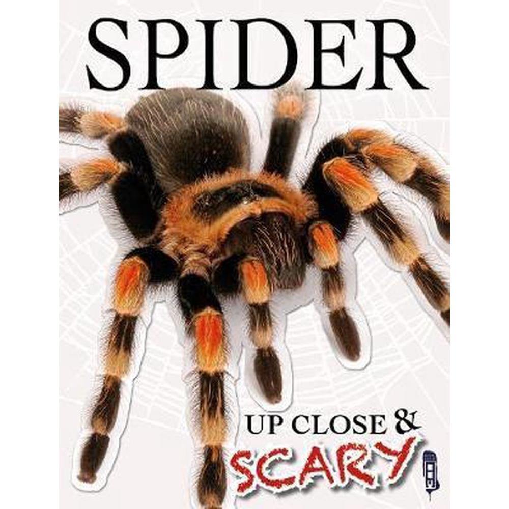up-close-and-scary-spider
