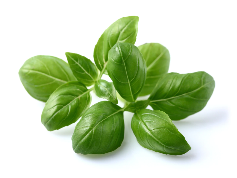 Click & Grow Basil plant pods