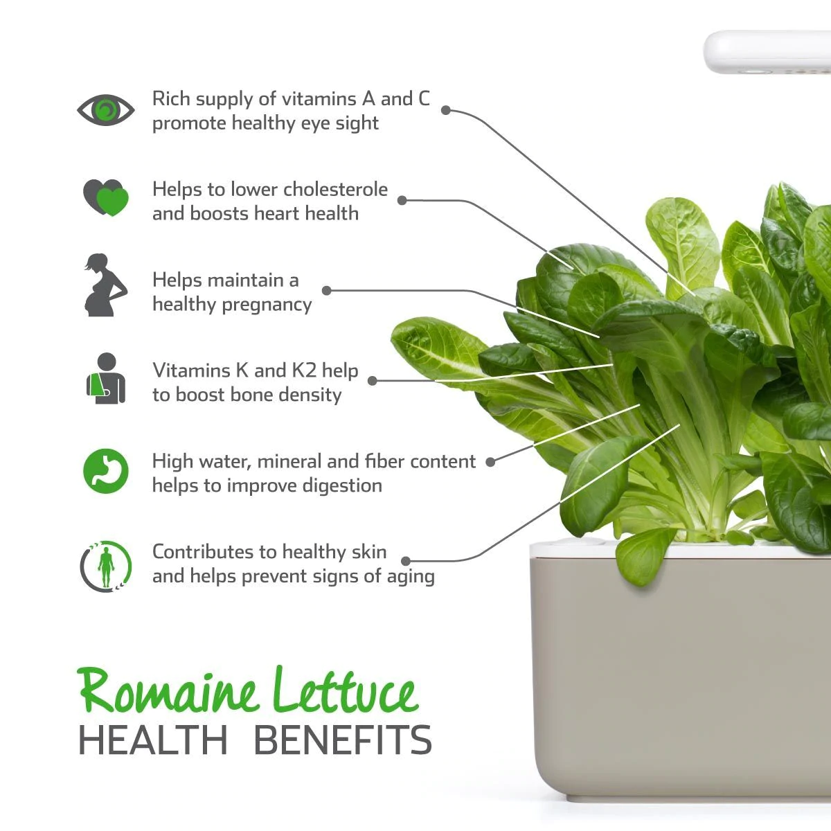 Click & Grow Romaine Lettuce plant pods