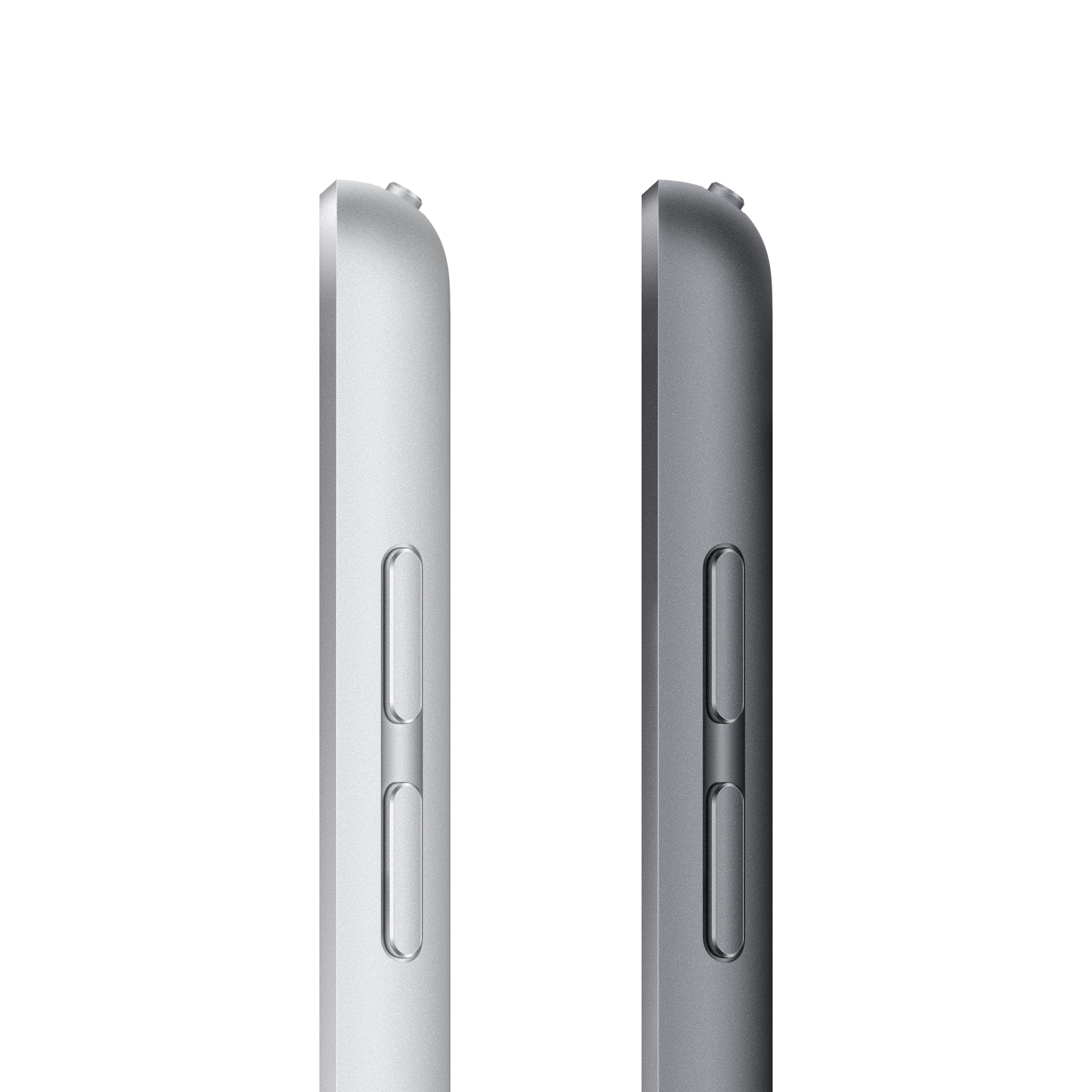 iPad 10.2-Inch Wi-Fi + Cellular 9th Generation