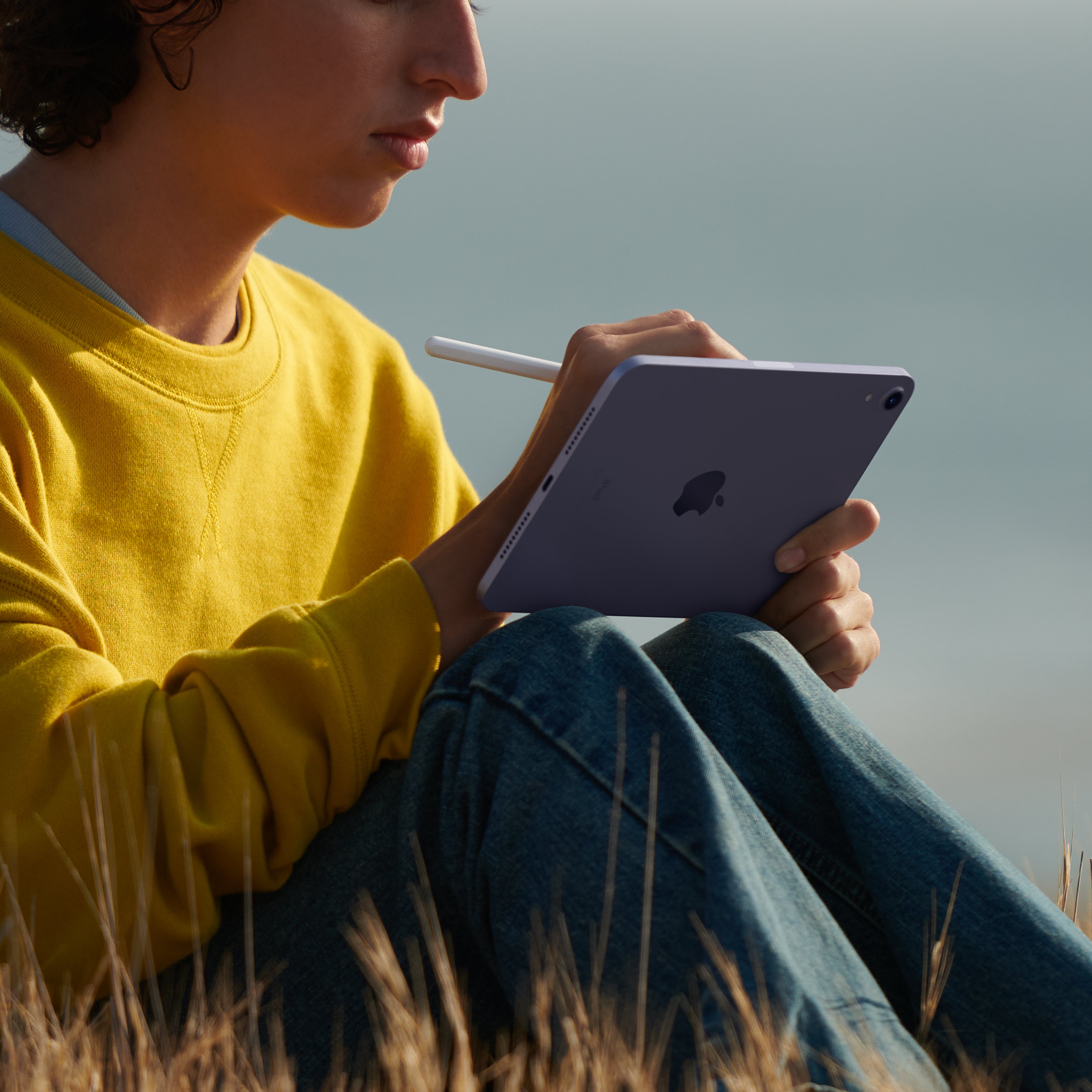 iPad mini 8.3-Inch Wi-Fi 2021 6th Generation